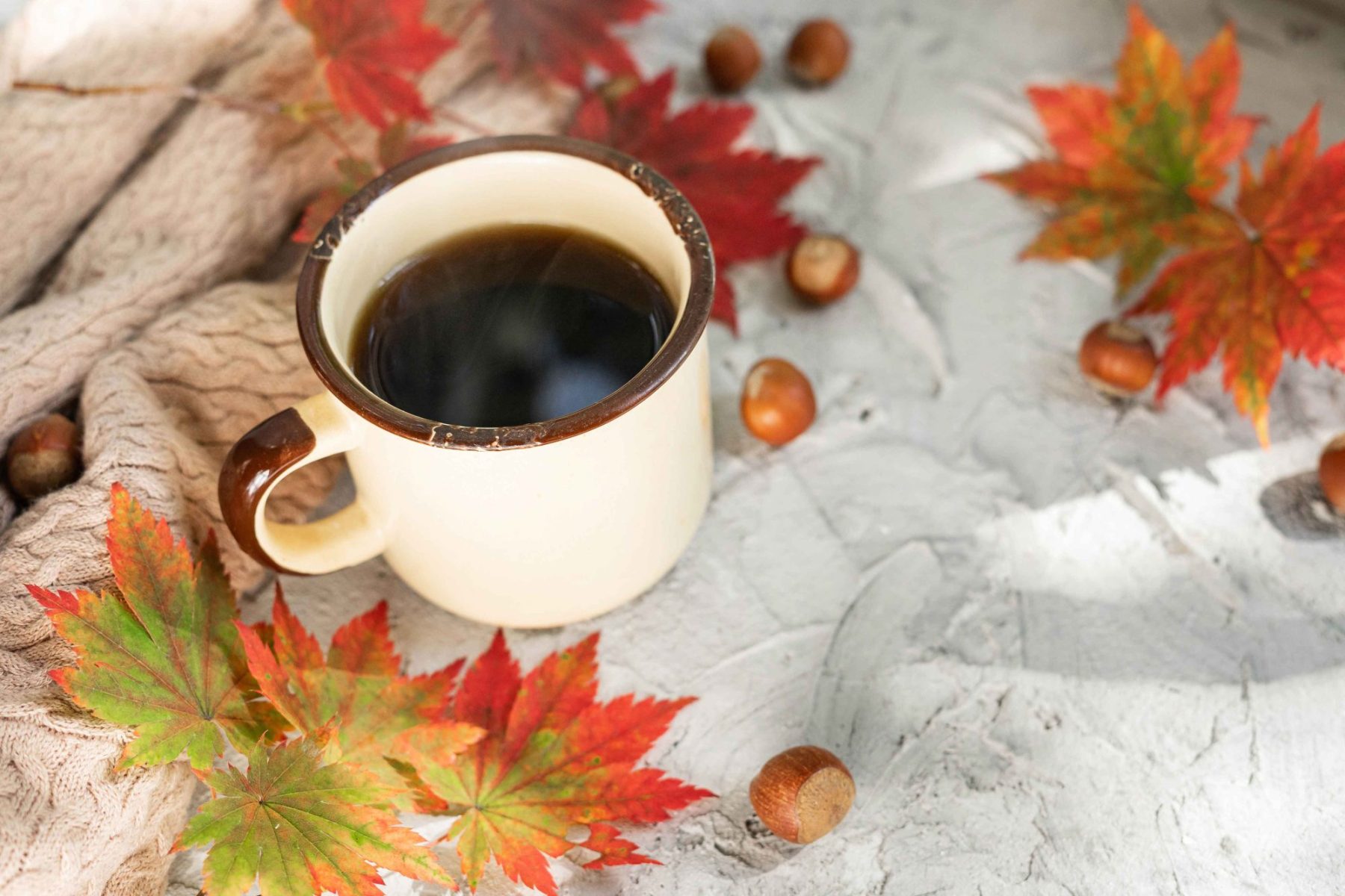 Portland and Las Vegas Fall Coffee Flavors | Albany Office Tea | Beaverton Break Room Service